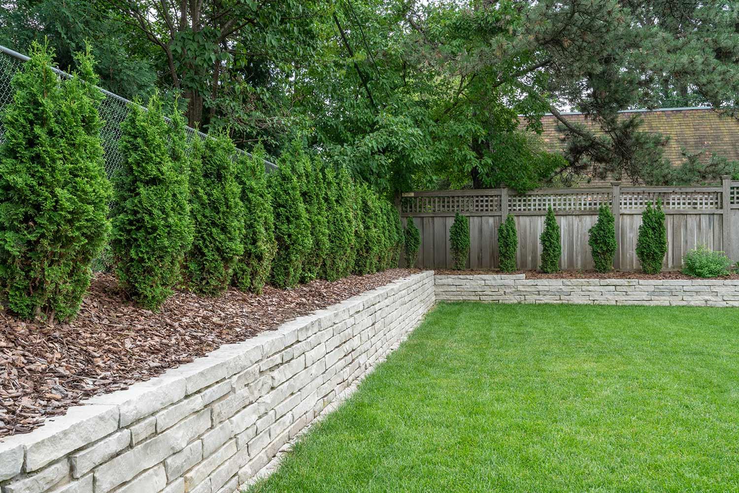 Limestone mortar retaining wall and privacy hedge.