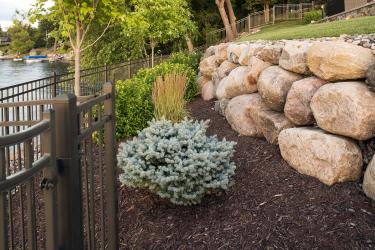 Low maintenance plantings will quickly establish roots and grow into a natural privacy screen.
