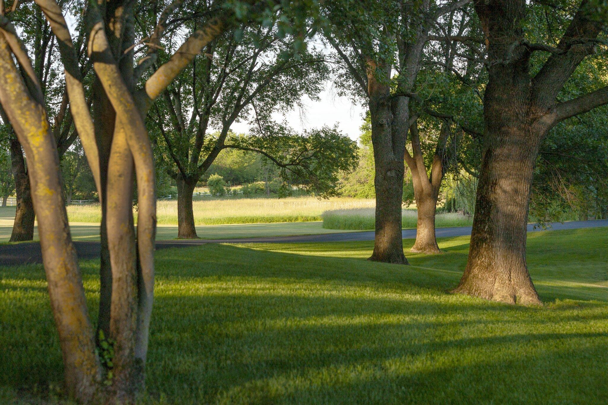 wayzata estate with mature trees and lush turf