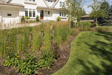 Landscaped garden with curving edges and native grasses in Edina, MN
