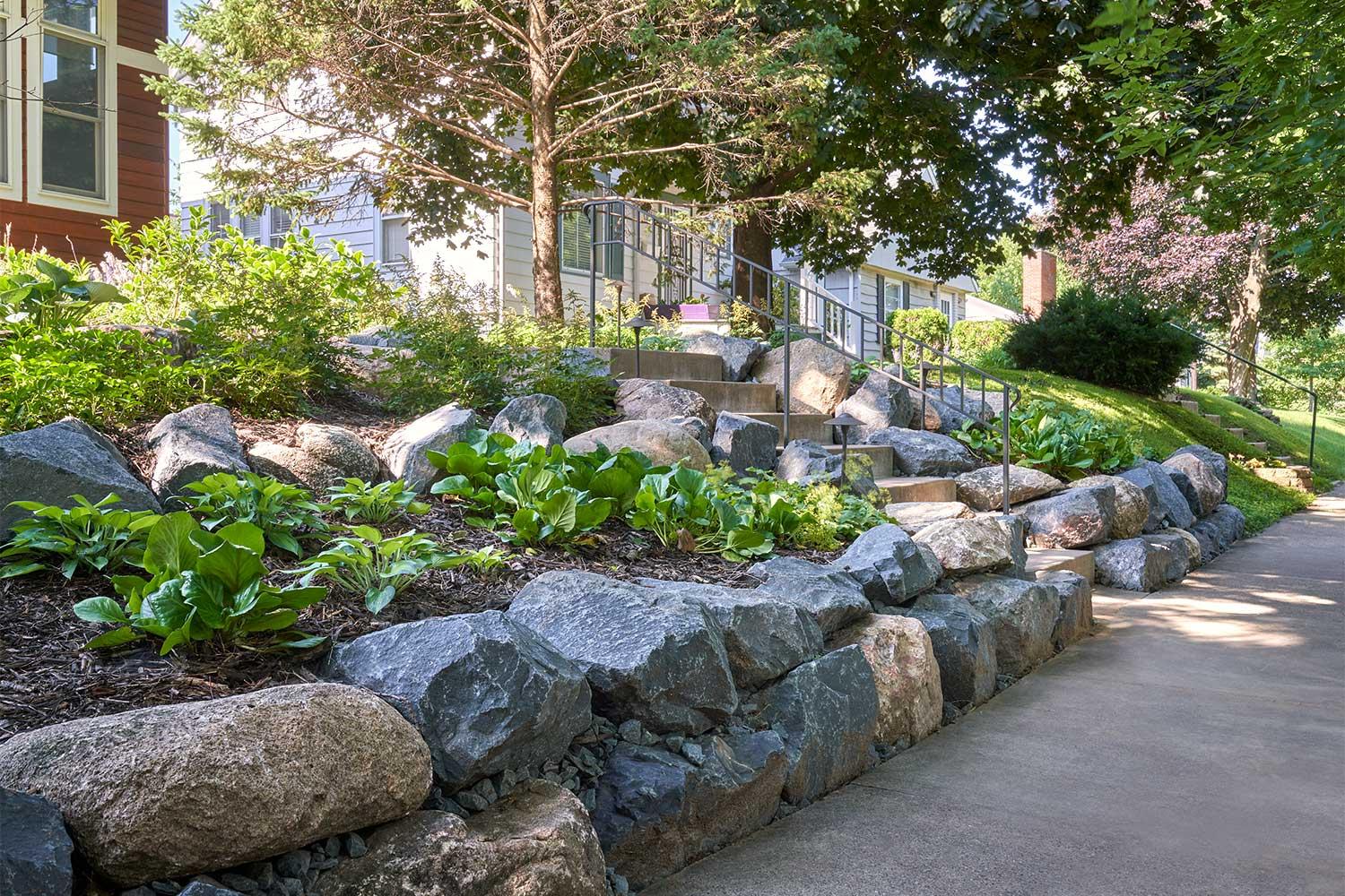 Terraced boulder retaining wall garden planted with hostas and other low-maintenance northwoods perennials.