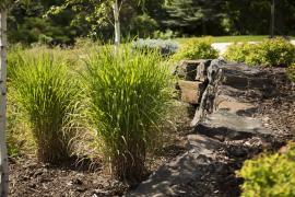 Mulch beds with perennials and a boulder retaining wall 