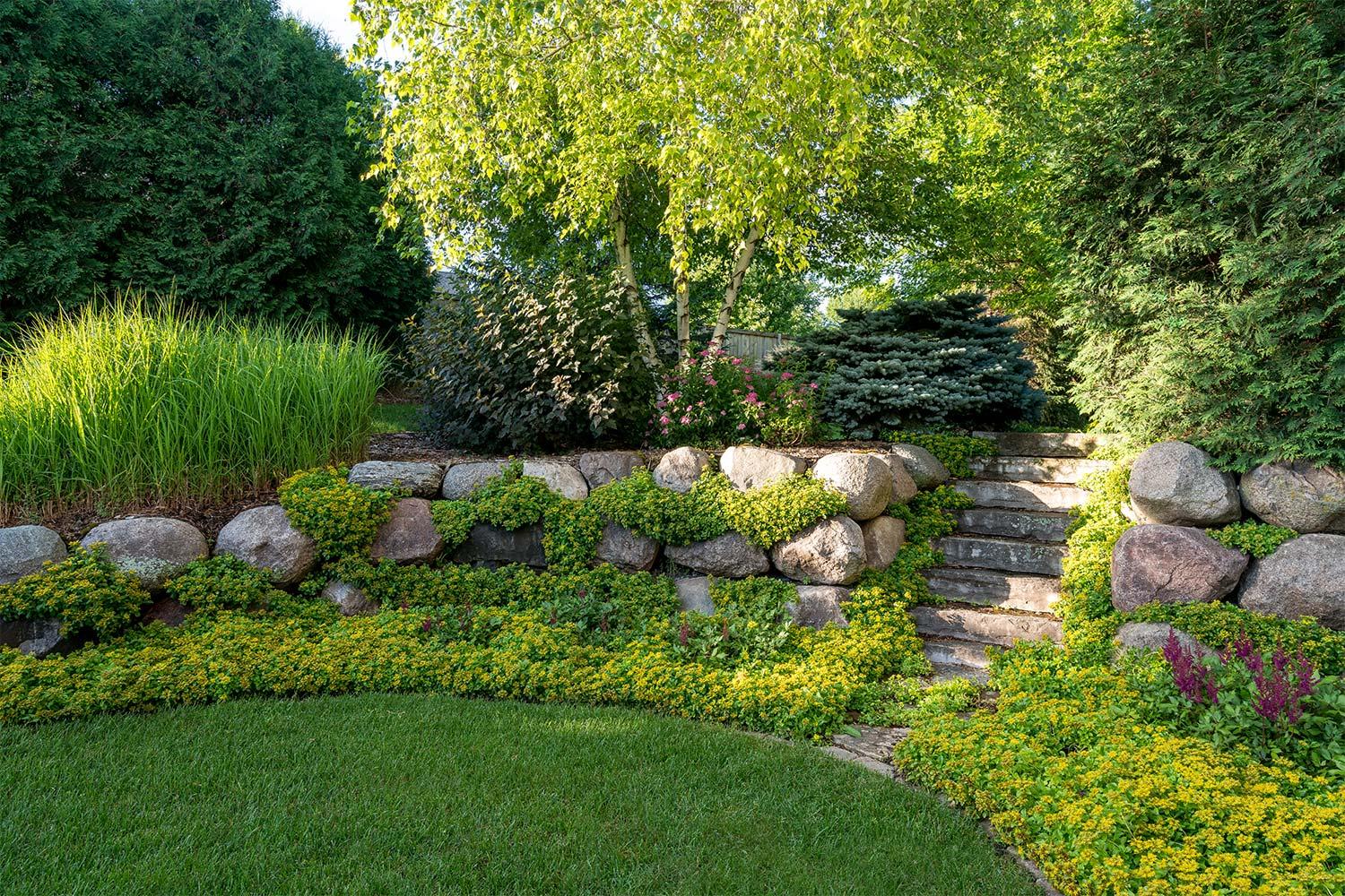 Lush green grass lawn surrounded by Sedum garden and boulder retaining wall with stone steps leading to a fireplace.