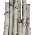 birch logs