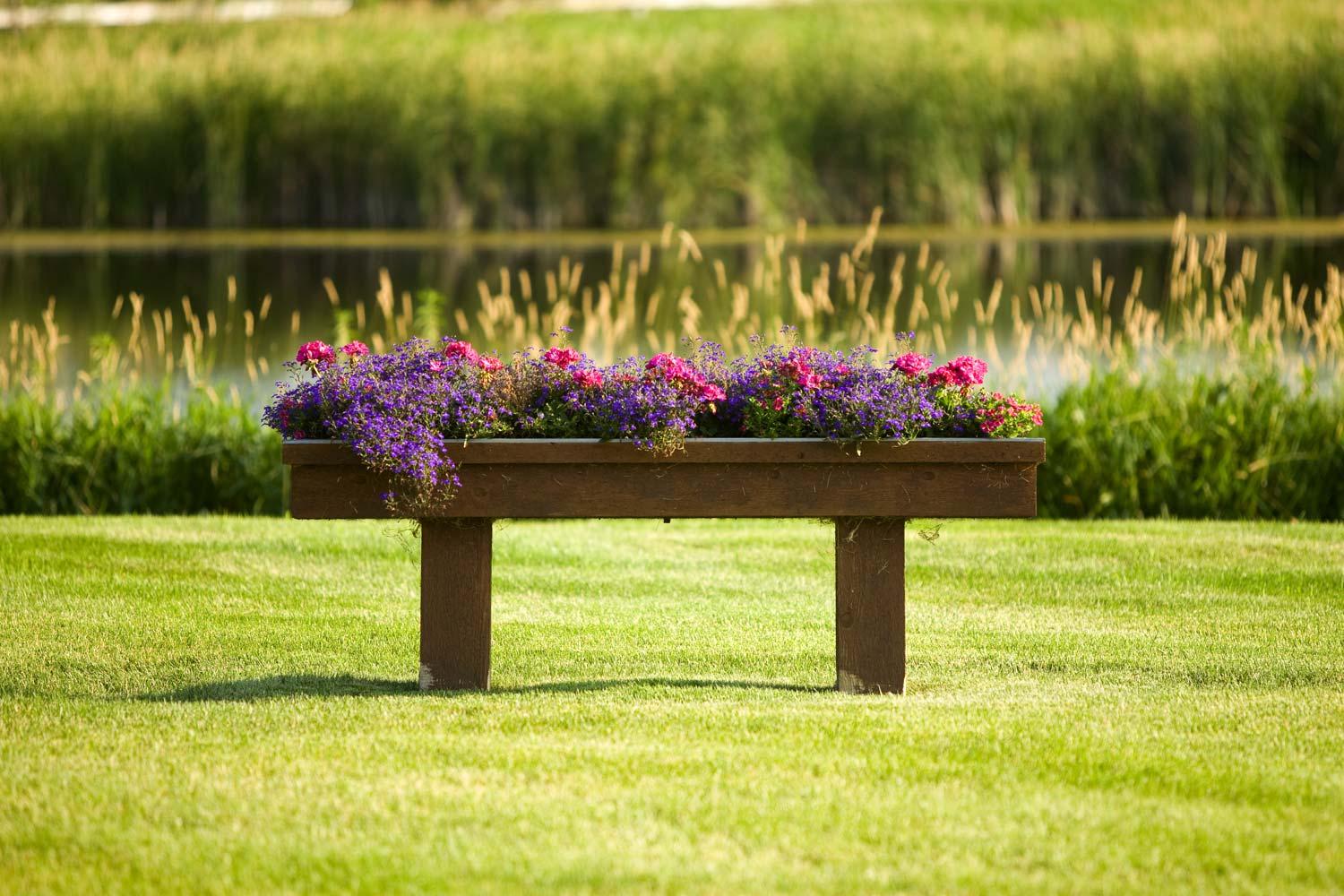 rustic wooden planter bench with purple flowers