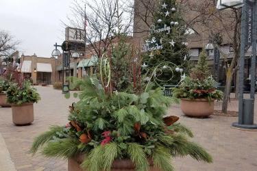 Winter planter pots with evergreen boughs and red dogwood twigs
