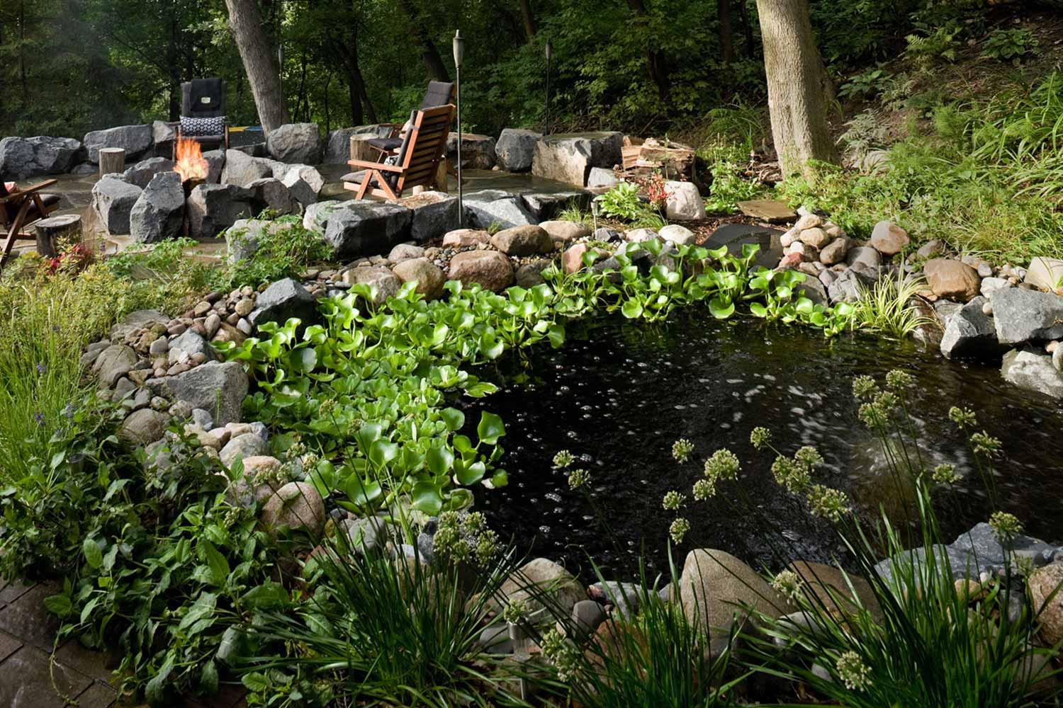 Backyard fish pond with and aquatic garden.