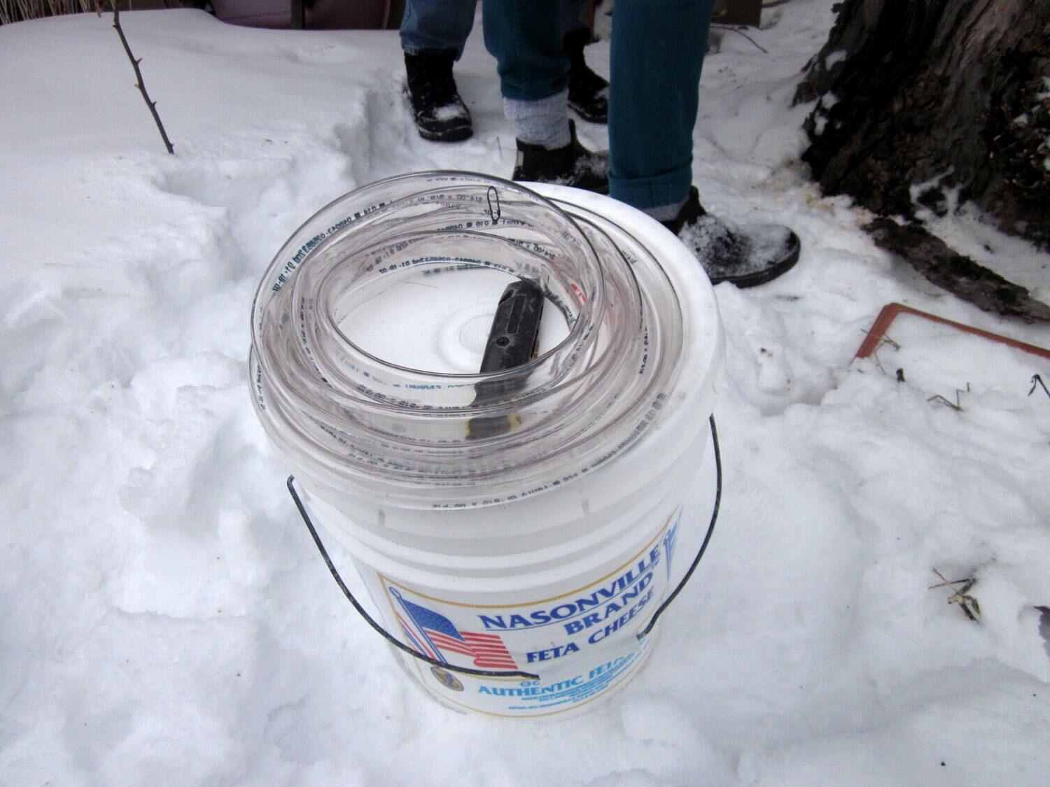 food safe bucket and tubing for collecting tree sap