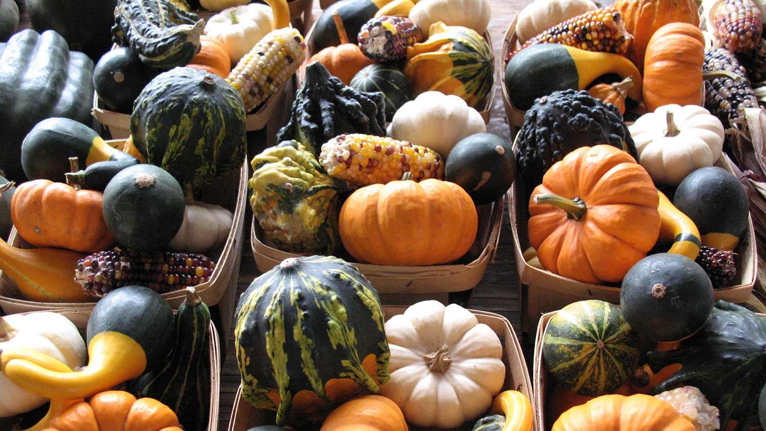 gourds for sale at the famers' market
