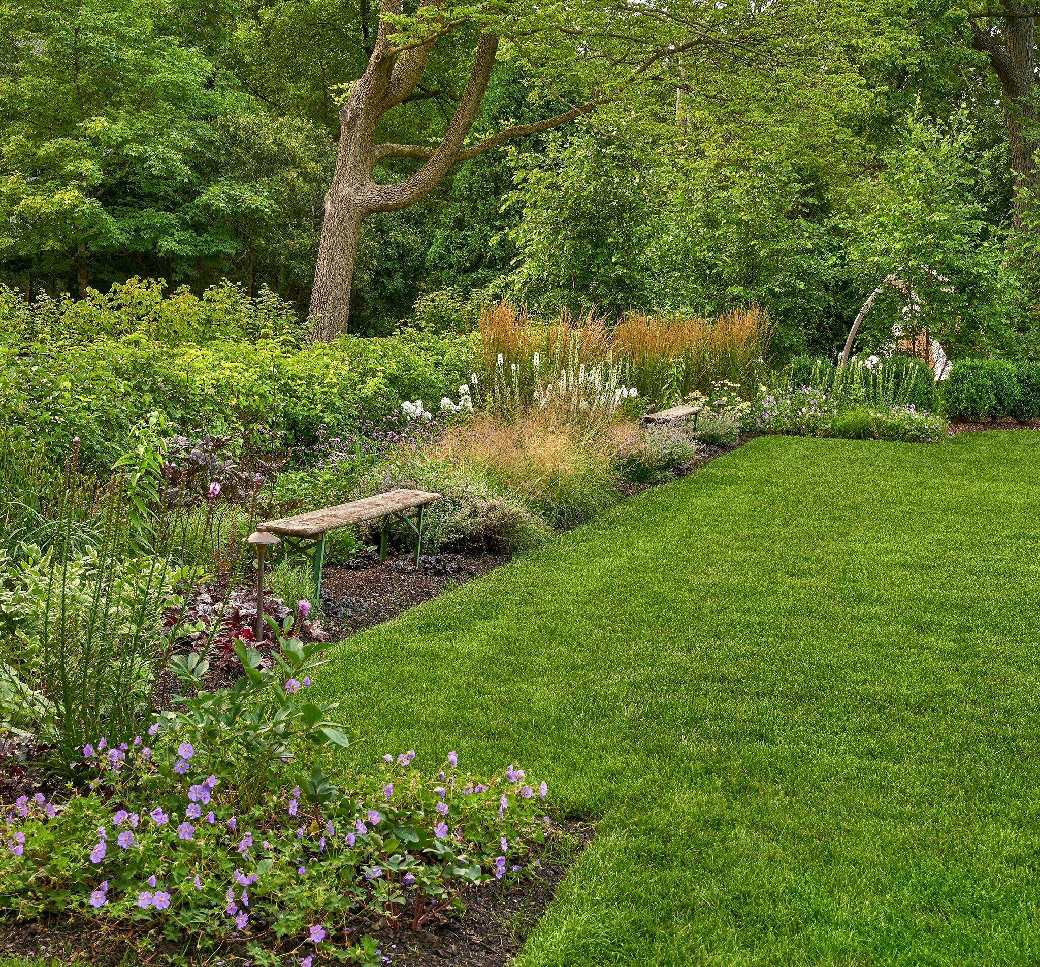 lush garden with green lawn 