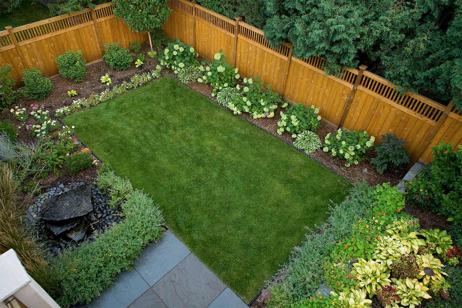 Small modern backyard lawn landscape.