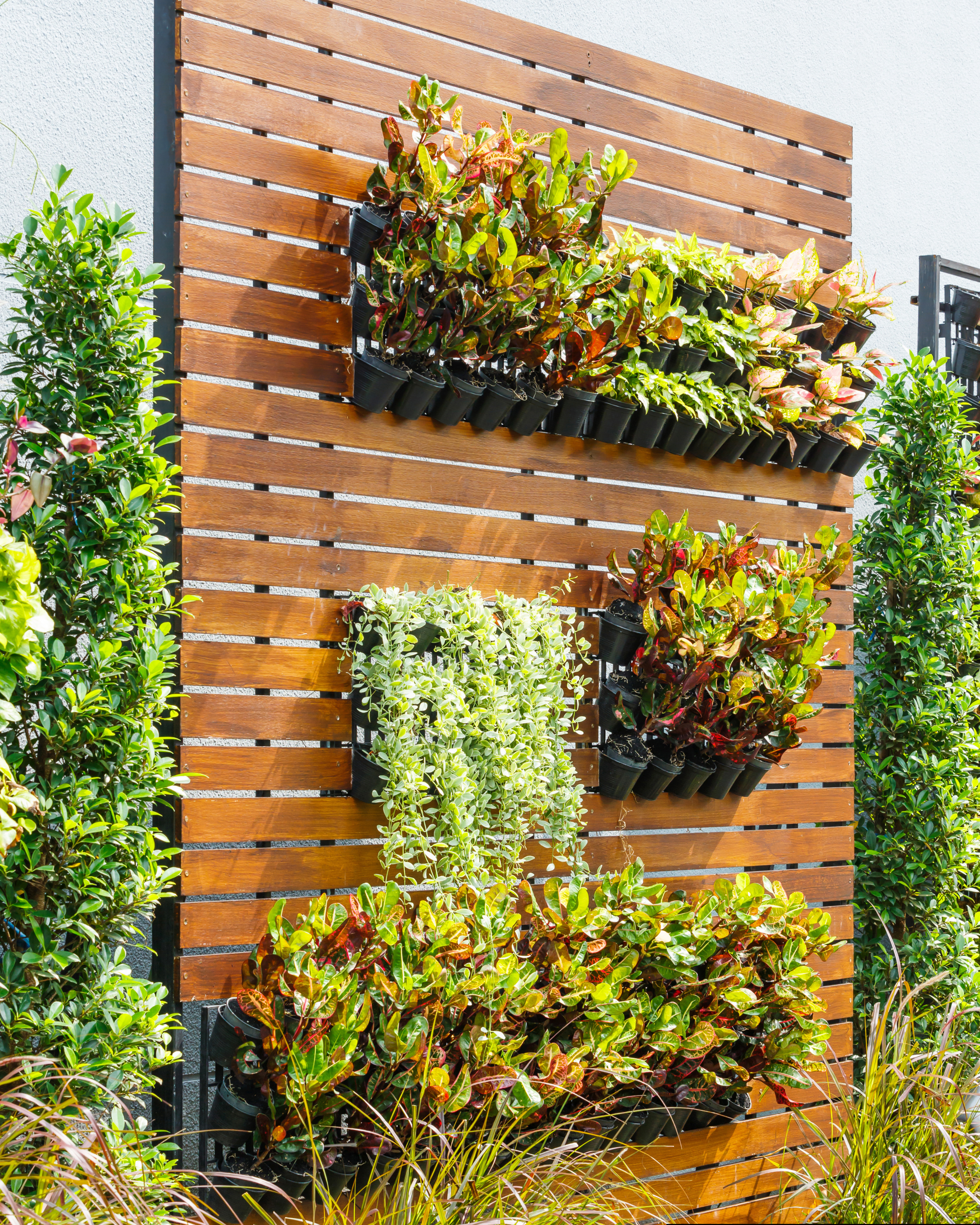 modern vertical garden wall