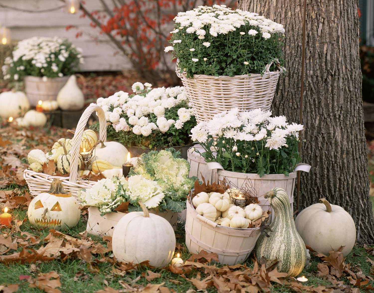 Monochromatic white fall decorative gourd display