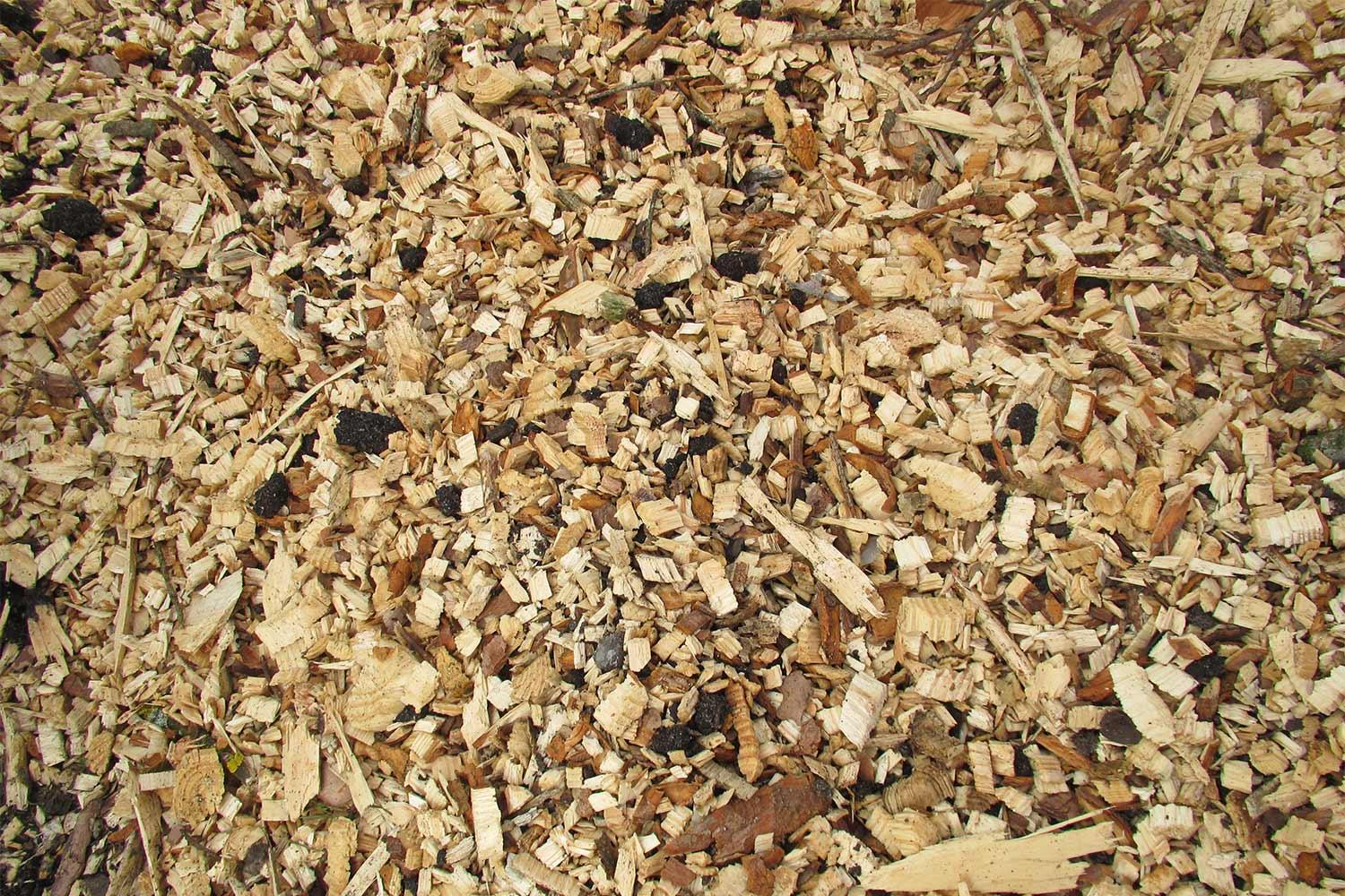 Close up of wood chips.