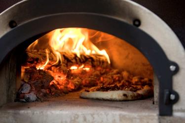 backyard wood fired pizza oven