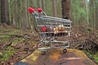 Miniature shopping cart in the forest.