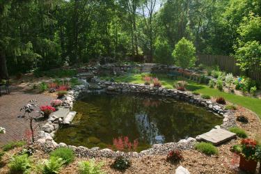 Swimming pond and stream water feature.