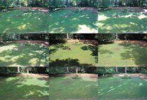 The same location photographed several times to track the amount of sun for a garden.