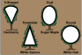 Four different tree shapes: V-Shaped, Pyramidal, Oval, and Round.