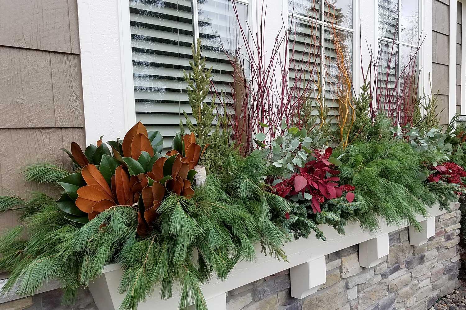 Window box with evergreen christmas decorations