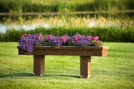 Raised wooden planter bed with summer annuals 